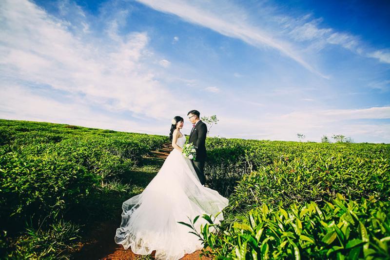 Top 10 địa điểm tuyệt vời để chụp ảnh cưới đầy lãng mạn tại Đà Lạt