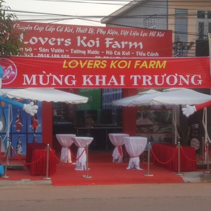Top 5 cửa hàng bán cá cảnh, bể cá đẹp và uy tín nhất tại tỉnh Quảng Trị