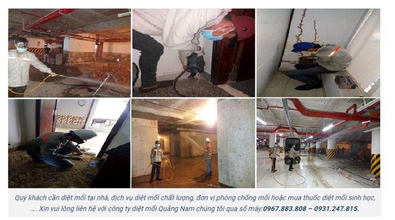 Top 5 dịch vụ diệt mối, côn trùng hàng đầu tại tỉnh Quảng Nam