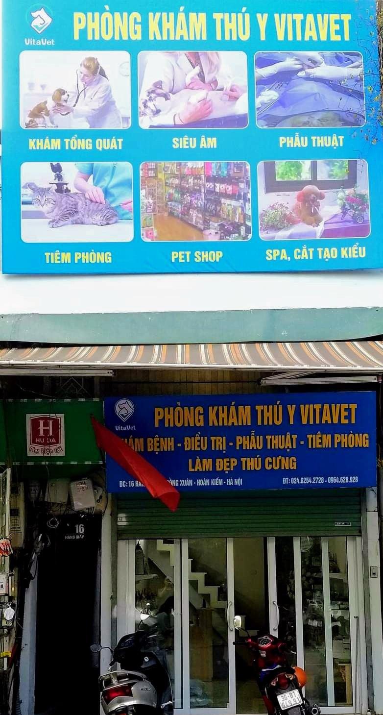 Top 4 dịch vụ spa thú cưng hàng đầu tại quận Hoàn Kiếm, Hà Nội