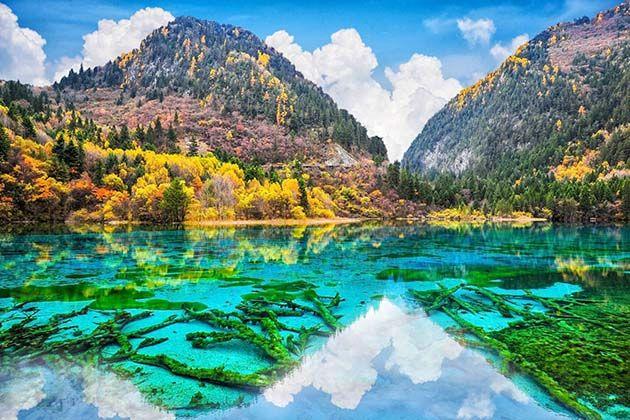 16 khu vườn đẹp nhất thế giới mà bạn nhất định phải tham quan