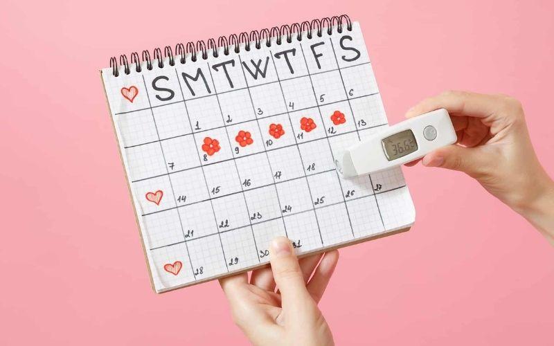 Hướng dẫn cách xác định ngày rụng trứng chính xác theo chu kỳ kinh nguyệt