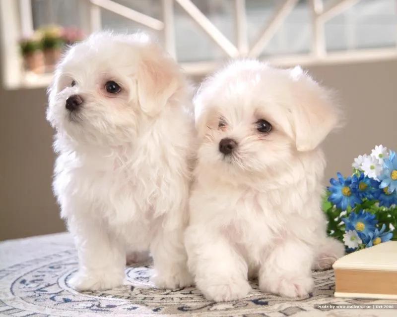 Top 10 Hoạt Động Tuyệt Vời Cho Người Độc Thân Trong Ngày Valentine