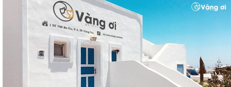 Top 5 Dịch Vụ Spa Thú Cưng Xuất Sắc Nhất Tại TP Vũng Tàu