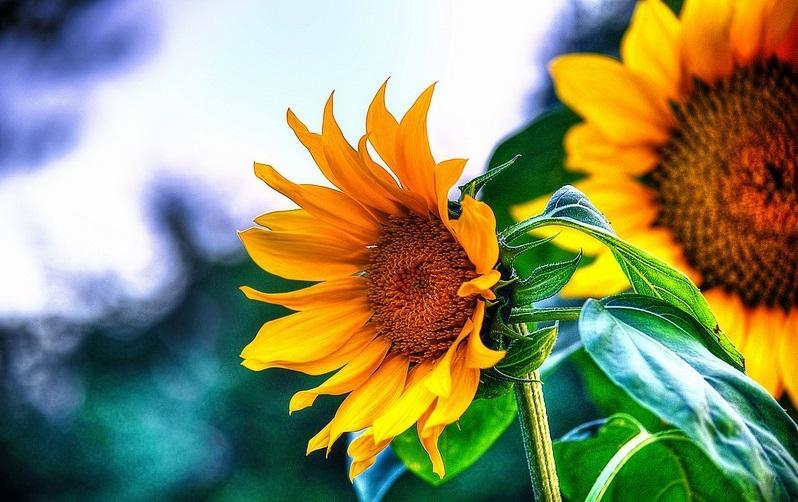 10 Gợi ý tuyệt vời giúp bạn có một ngày tràn đầy năng lượng