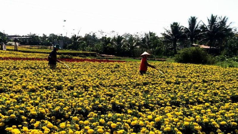 Top 10 Bí quyết kinh doanh hoa tươi hiệu quả trong dịp Tết Nguyên Đán