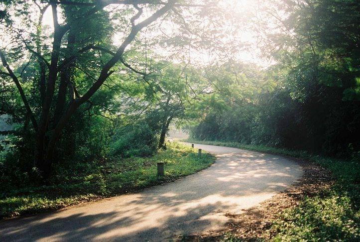 Khám Phá 18 Địa Điểm Du Lịch Gần Hà Nội Được Giới Trẻ Yêu Thích