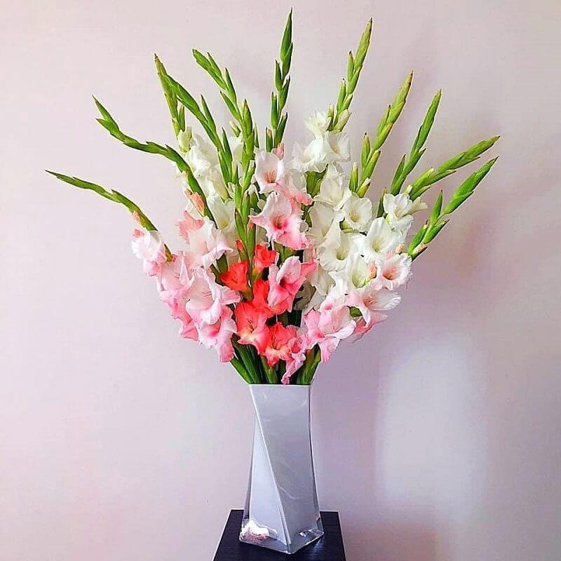 Top 10 loài hoa cắm Tết đẹp nhất cho gia đình miền Bắc
