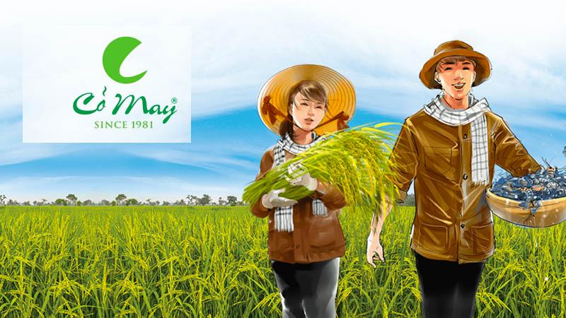 Top 5 loại gạo Cỏ Mây được yêu thích nhất hiện nay