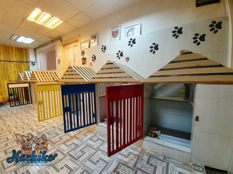 Top 6 khách sạn thú cưng đáng tin cậy nhất tại TP. Thủ Đức, TP.HCM