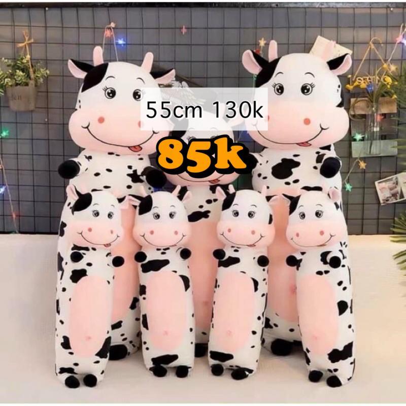 Top 9 cửa hàng gấu bông đẹp và giá rẻ tại Đà Nẵng bạn không nên bỏ lỡ