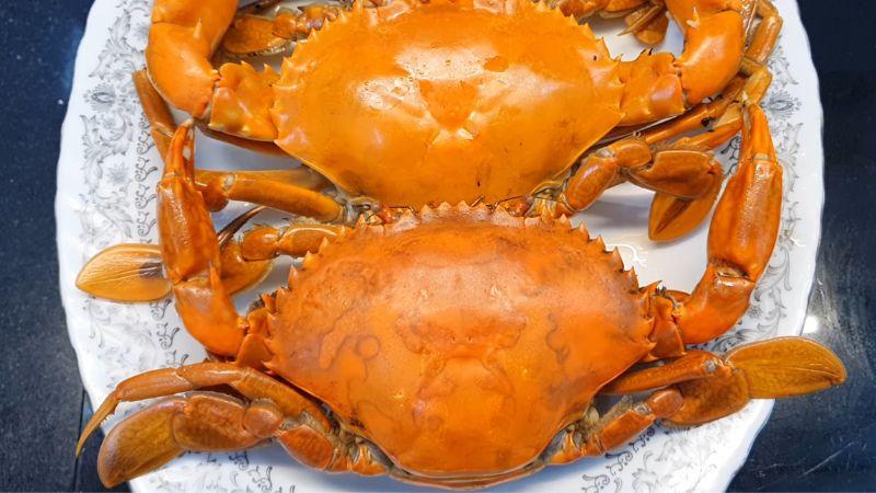 Công thức cua hấp nước dừa thanh ngọt, bổ dưỡng cho cả gia đình