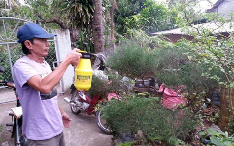 Mẹo sử dụng bia để đuổi sâu rệp trên cây, giúp cây trồng trở nên khỏe mạnh và sạch bóng sâu hại.