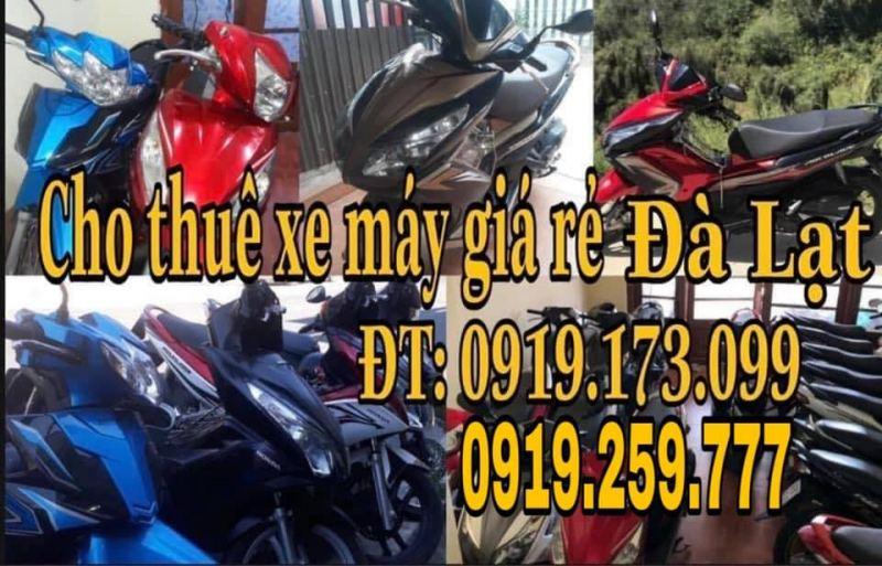 Top 7 dịch vụ cho thuê xe máy đáng tin cậy tại Đà Lạt, Lâm Đồng