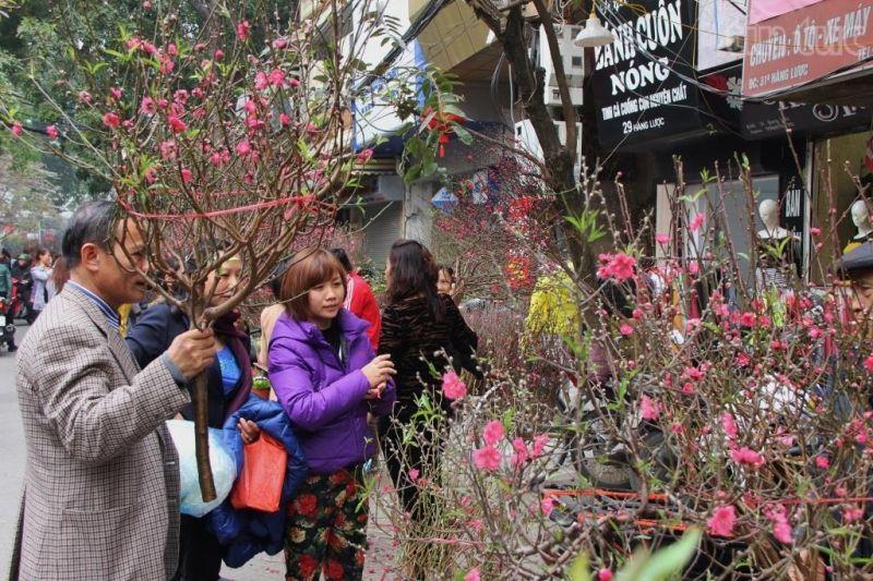 Khám Phá 7 Địa Điểm Bán Hoa Tết Đẹp Nhất Hà Nội