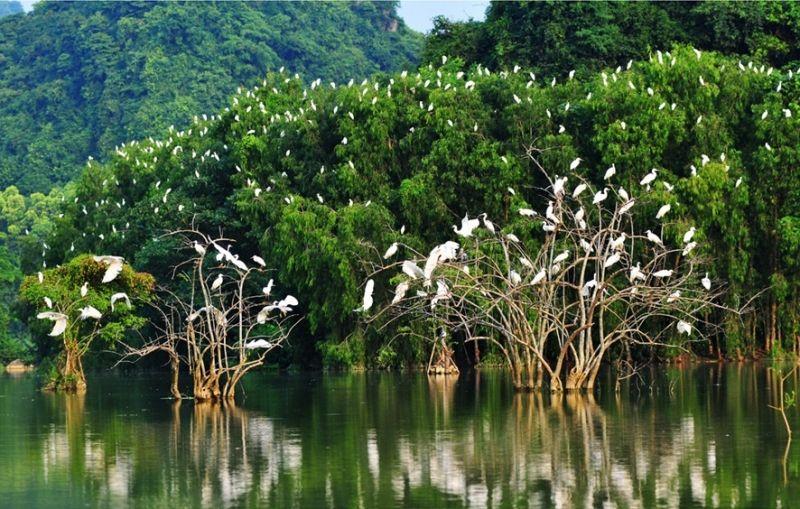 Khám phá 16 điểm đến nổi bật tại Tây Nam Bộ