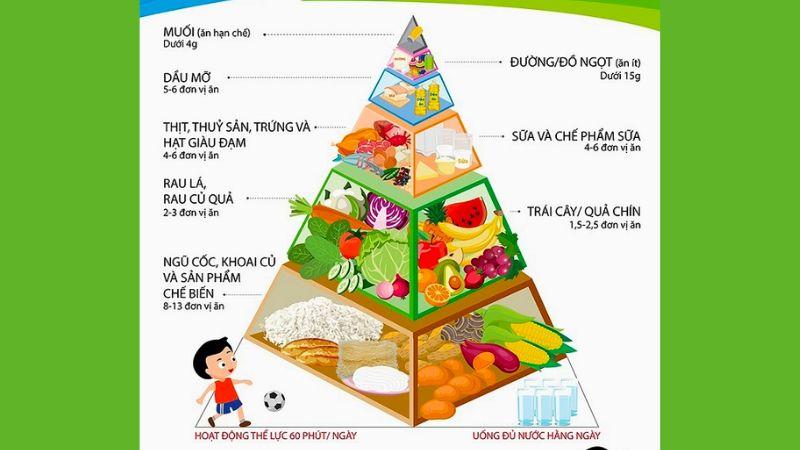 Tháp dinh dưỡng là gì? Vai trò và tác động của tháp dinh dưỡng đối với sức khỏe con người