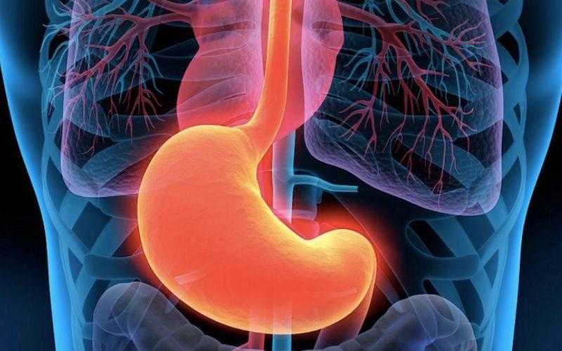 Lý do ức gà có thể là lựa chọn sai lầm cho việc giảm cân và 3 tác hại khi bạn ăn không đúng cách