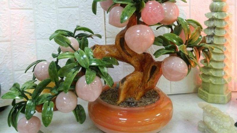 Cây đào phong thủy không chỉ là biểu tượng của sự đổi mới, mà còn mang đến tài lộc, may mắn cho gia đình. Tìm hiểu ý nghĩa của cây đào và cách bố trí cây sao cho phù hợp để thu hút nhiều vận may.