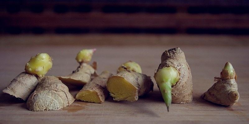 Khám phá cách trồng gừng độc đáo mà không cần đất