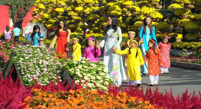 Top 10 bài thơ về hoa mai ngày Tết đón xuân tuyệt vời nhất