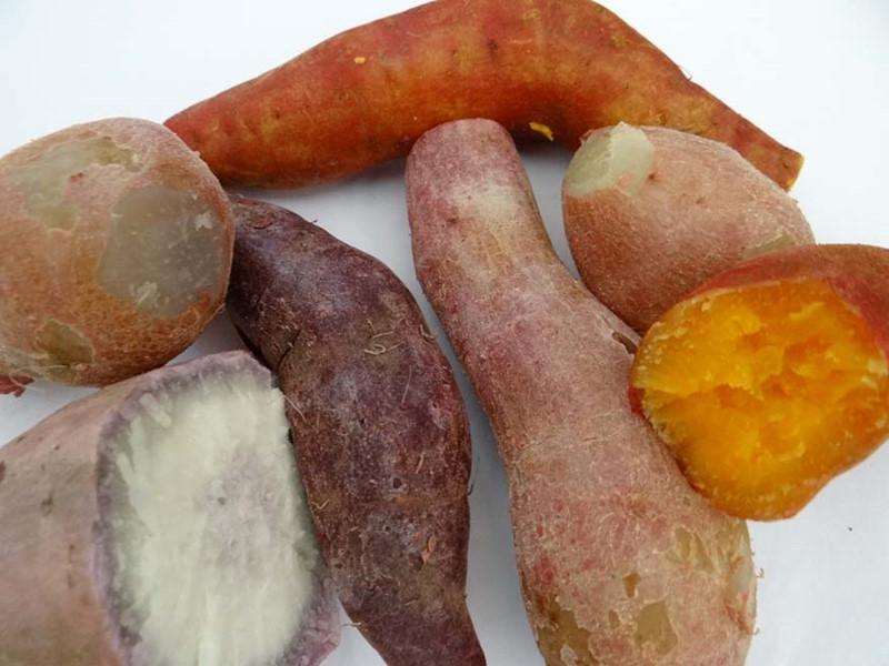 Hấp khoai lang với nước nóng hay lạnh sẽ giúp khoai trở nên mềm mại và ngọt ngào hơn? Cùng tìm hiểu sự khác biệt giữa hai phương pháp này để có kết quả hoàn hảo nhất.