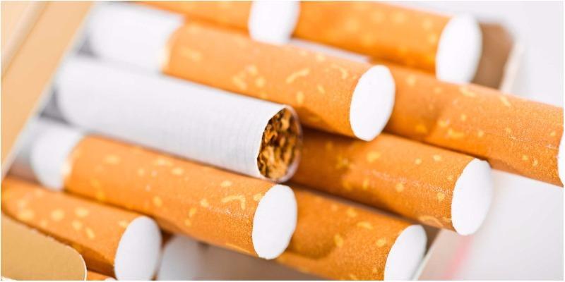 Cách đuổi nhện khỏi nhà bằng những mẹo đơn giản và hiệu quả