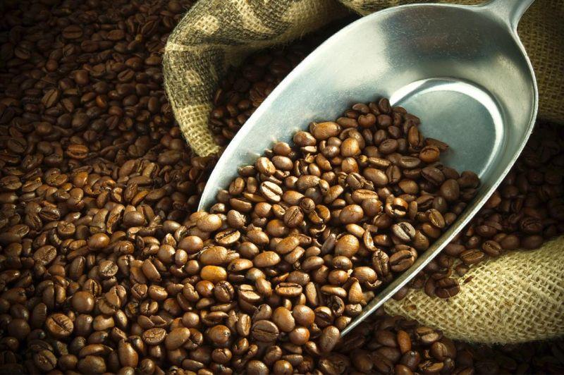 Top 10 đặc sản Đắk Nông không thể bỏ lỡ