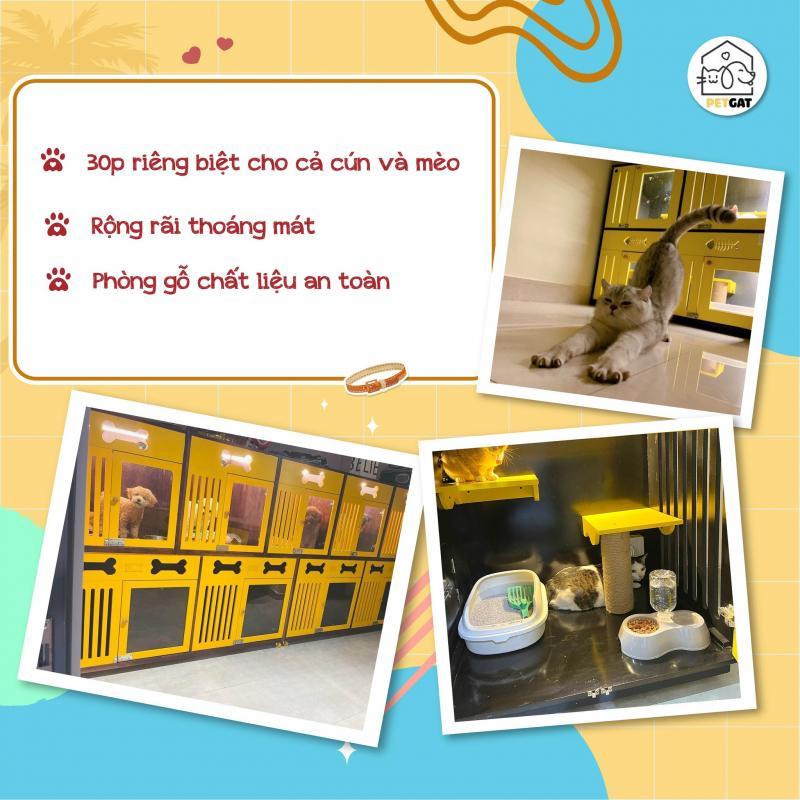 Top 5 khách sạn uy tín nhất dành cho thú cưng tại quận Gò Vấp, TP.HCM