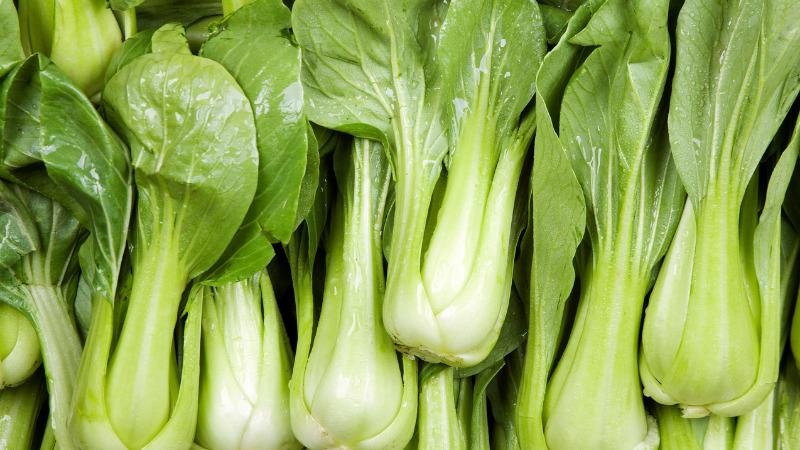 Cách chọn lựa cải thìa tươi ngon, chất lượng cao