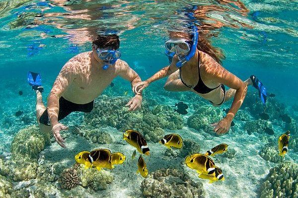 8 Điểm lặn biển tuyệt mỹ tại Việt Nam không nên bỏ lỡ