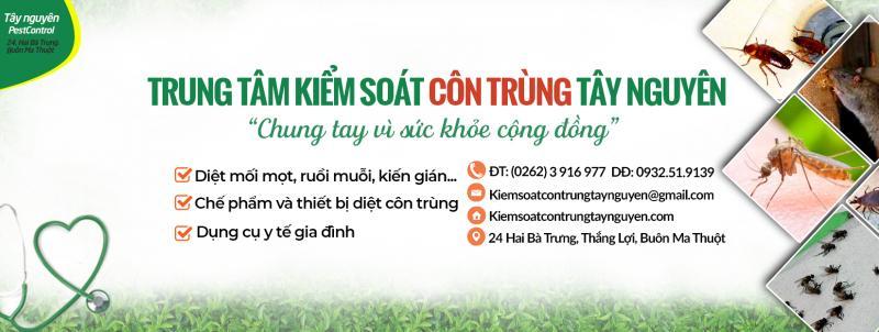 Top 2 dịch vụ diệt mối, côn trùng uy tín tại Đắk Lắk