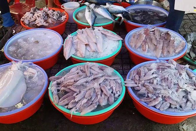 Top 8 khu chợ nhộn nhịp và nổi bật nhất tại TP. Quy Nhơn, Bình Định