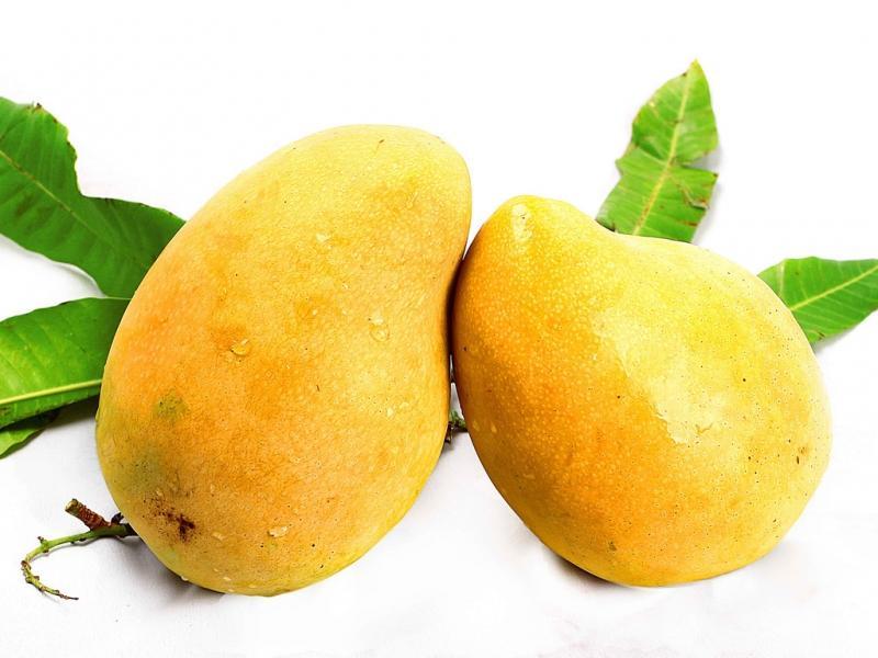 Top 15 loại trái cây không thể thiếu trong mâm ngũ quả ngày Tết