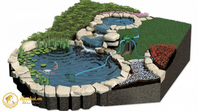 Top 5 Dịch Vụ Tư Vấn Thi Công Hồ Cá Koi Đáng Tin Cậy Nhất Tại Hà Nội