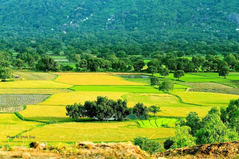 Top 10 Điểm đến không thể bỏ lỡ tại miền Tây Việt Nam