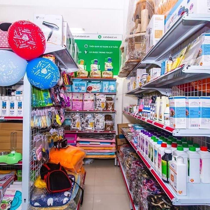 Top 6 Cửa hàng thú cưng uy tín tại Đà Nẵng