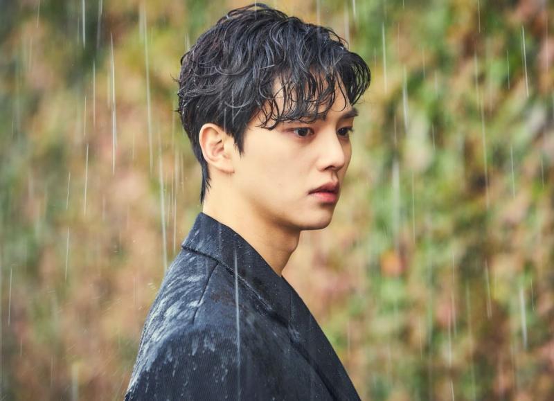 Top 9 bộ phim nổi bật nhất của Song Kang