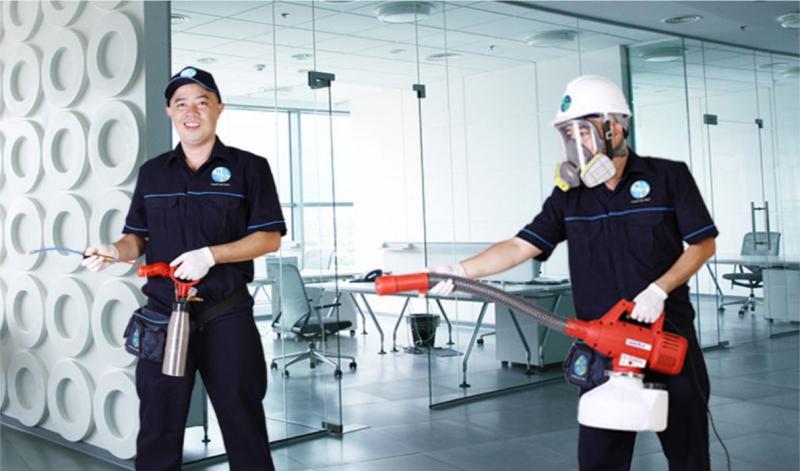 5 Dịch vụ diệt chuột hàng đầu tại Đà Nẵng