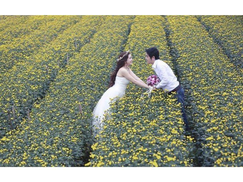 Top 19 Làng hoa nổi tiếng nhất Việt Nam
