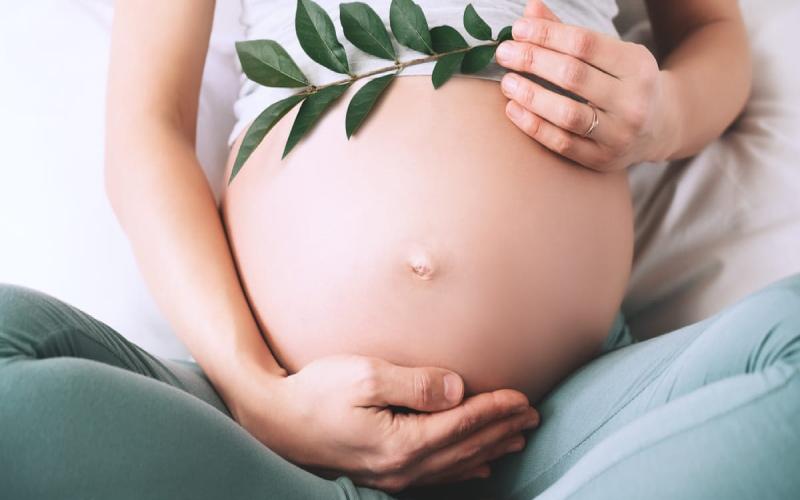 Bí quyết thai giáo tháng thứ 7 giúp bé yêu phát triển toàn diện từ trong bụng mẹ