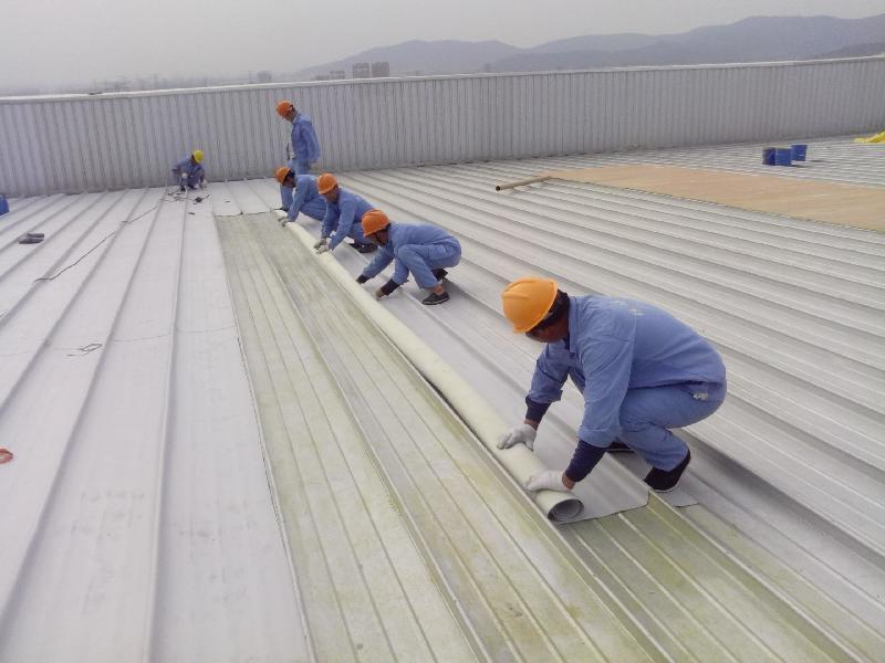 Top 9 dịch vụ chống thấm nhà uy tín tại Hà Nội, nơi bạn có thể tìm thấy các đơn vị chất lượng giúp bảo vệ ngôi nhà khỏi thấm dột. Từ những chuyên gia uy tín, dịch vụ đáng tin cậy sẽ giúp bạn khắc phục tình trạng thấm dột một cách hiệu quả, bảo vệ sức khỏe và tài sản lâu dài.