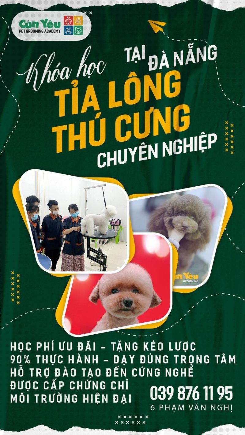 Top 5 Địa chỉ đào tạo cắt tỉa lông thú cưng uy tín tại Đà Nẵng