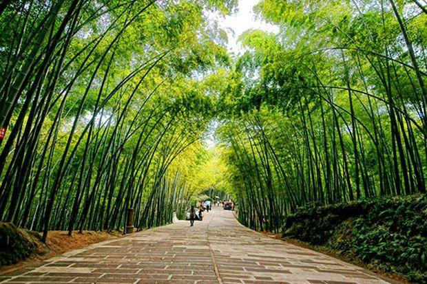 Top 10 bài thơ ngợi ca Tổ quốc Việt Nam hay nhất nhân dịp 30-4