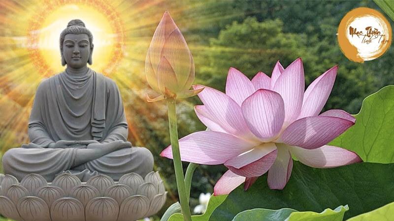Khám phá những bản nhạc thiền tịnh, mang đến không gian thư giãn cho tâm hồn, giúp giảm bớt căng thẳng và làm dịu trí óc.