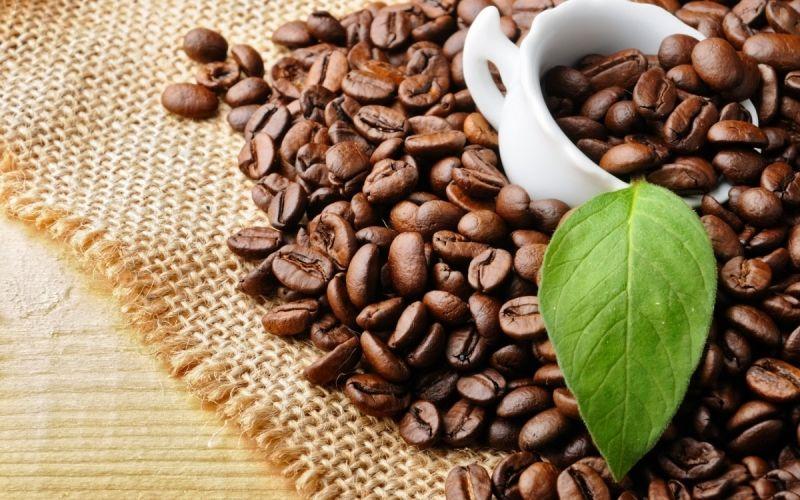 Top 10 bí quyết đơn giản giúp tóc nhanh dài, dày mượt tại nhà hiệu quả nhất