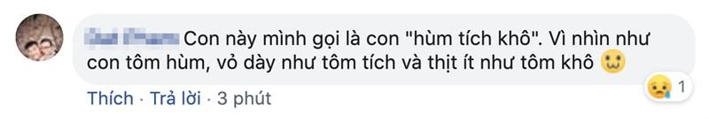 Tôm hùm đất hiện đang là món ăn gây tranh cãi nhất trong các loại tôm, nhận về nhiều lời chỉ trích từ những thực khách đã thử qua.