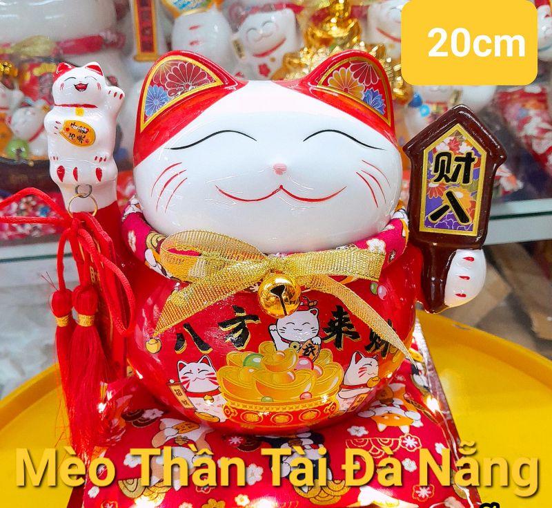 Top 4 địa chỉ bán mèo thần tài chất lượng và uy tín tại Đà Nẵng