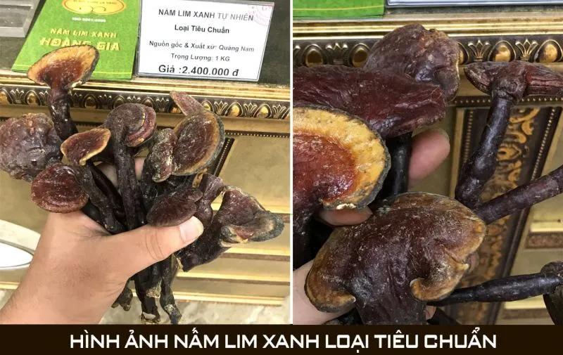 Top 2 địa chỉ uy tín bán nấm lim xanh tại tỉnh Lâm Đồng