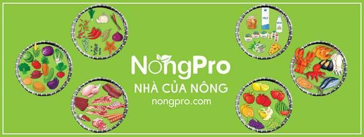 Top 10 cửa hàng rau sạch uy tín tại Đà Nẵng